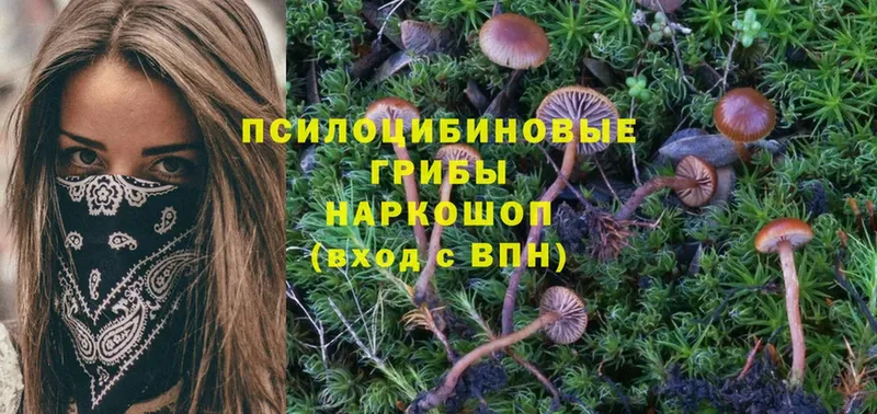 Галлюциногенные грибы Magic Shrooms  гидра зеркало  Калининец 